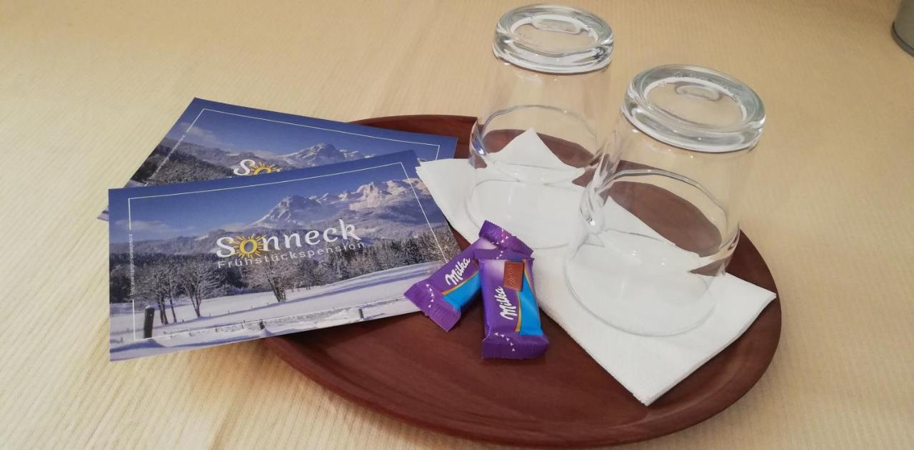 Sonneck Pension Пфаррверфен Екстер'єр фото