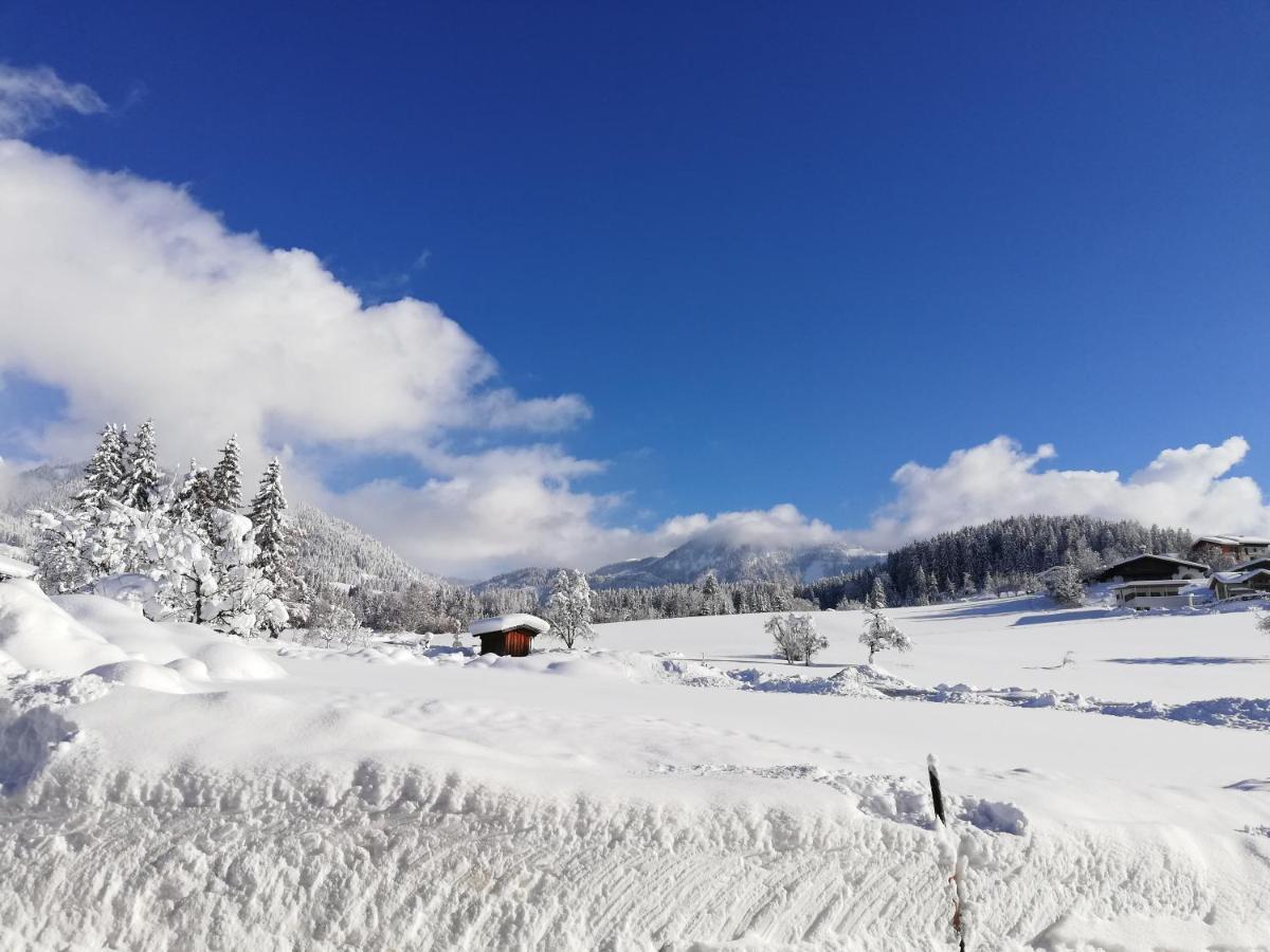 Sonneck Pension Пфаррверфен Екстер'єр фото