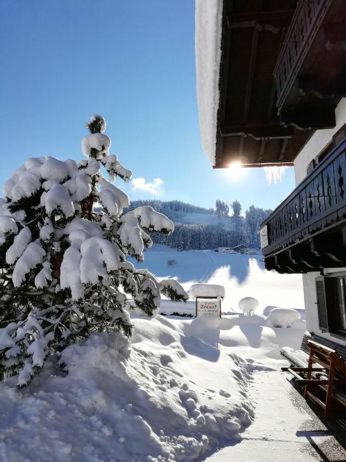 Sonneck Pension Пфаррверфен Екстер'єр фото